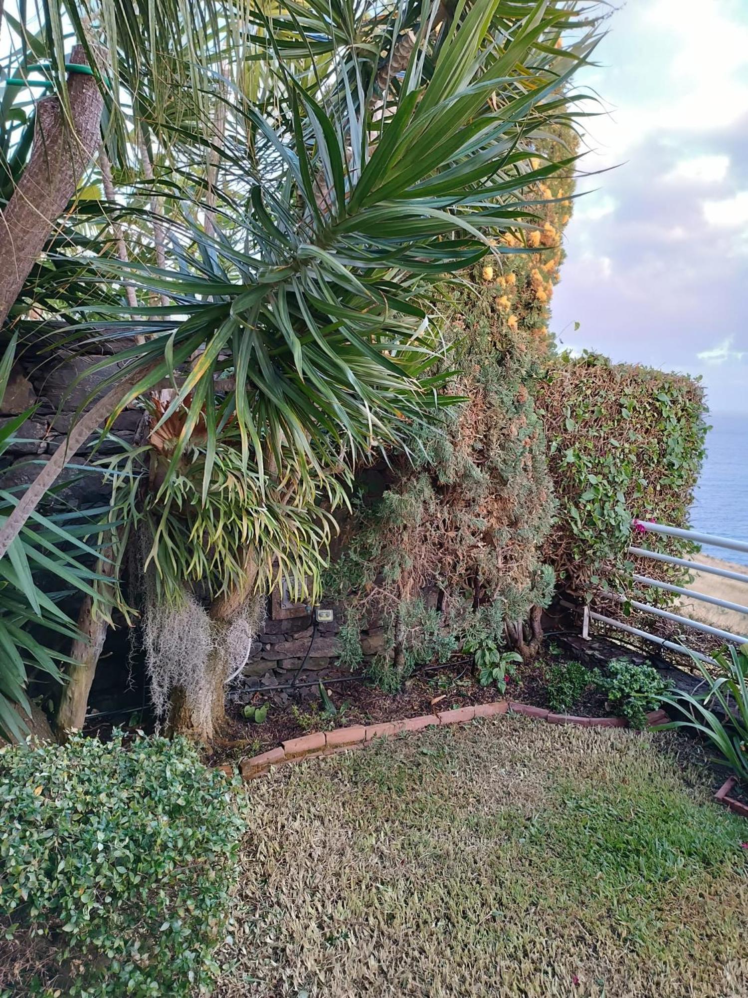 Villa Moradia T2 Madeira à Funchal  Extérieur photo